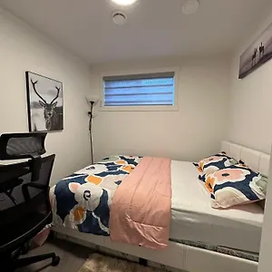 Brand New 1 Bedroom Basement Suite. Wi-fi,netflix Edmonton